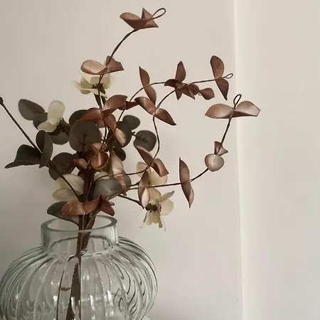 Eria Rose Καλαμάτα